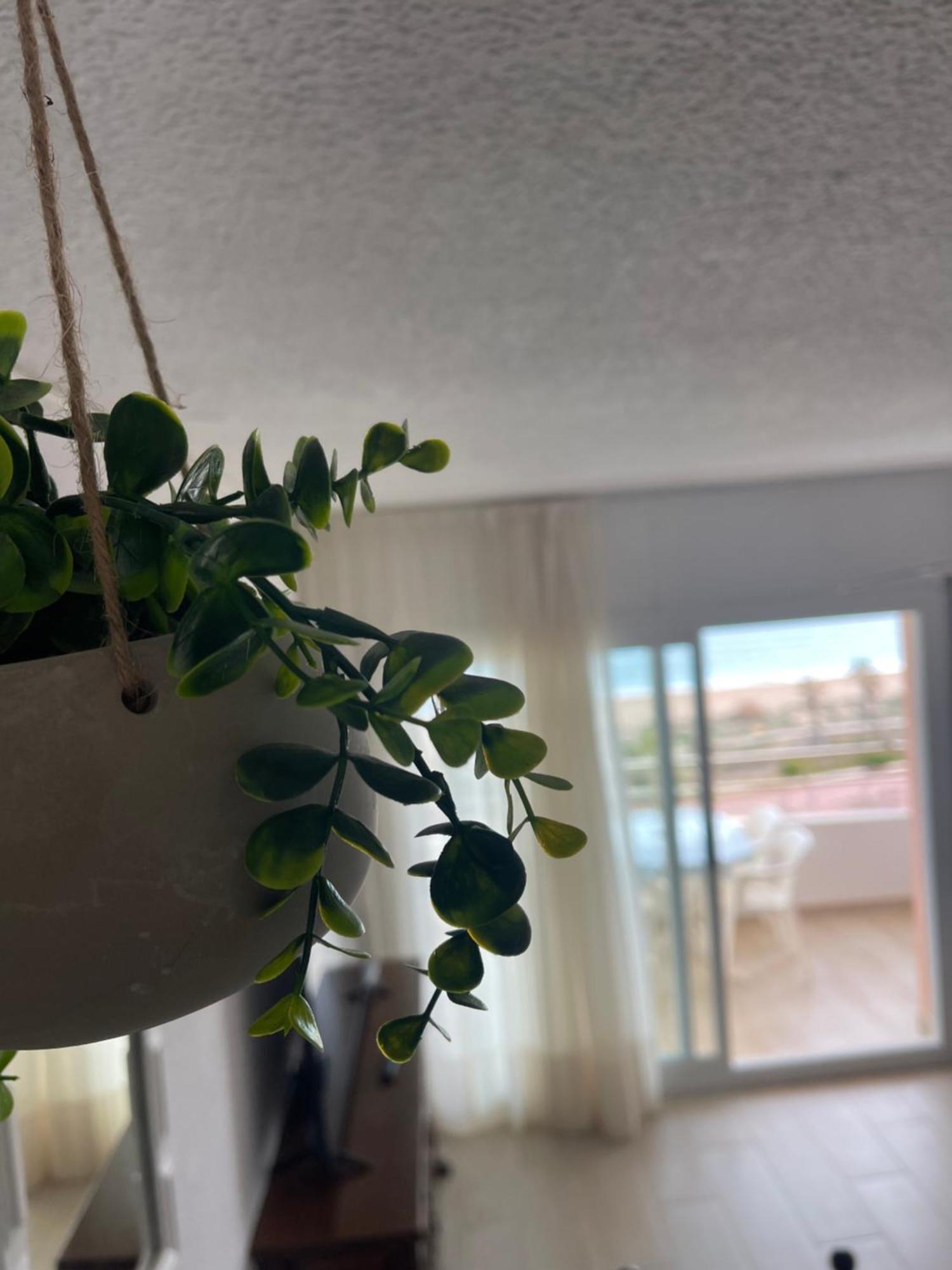 Penismar 67 Apartman Peñíscola Kültér fotó