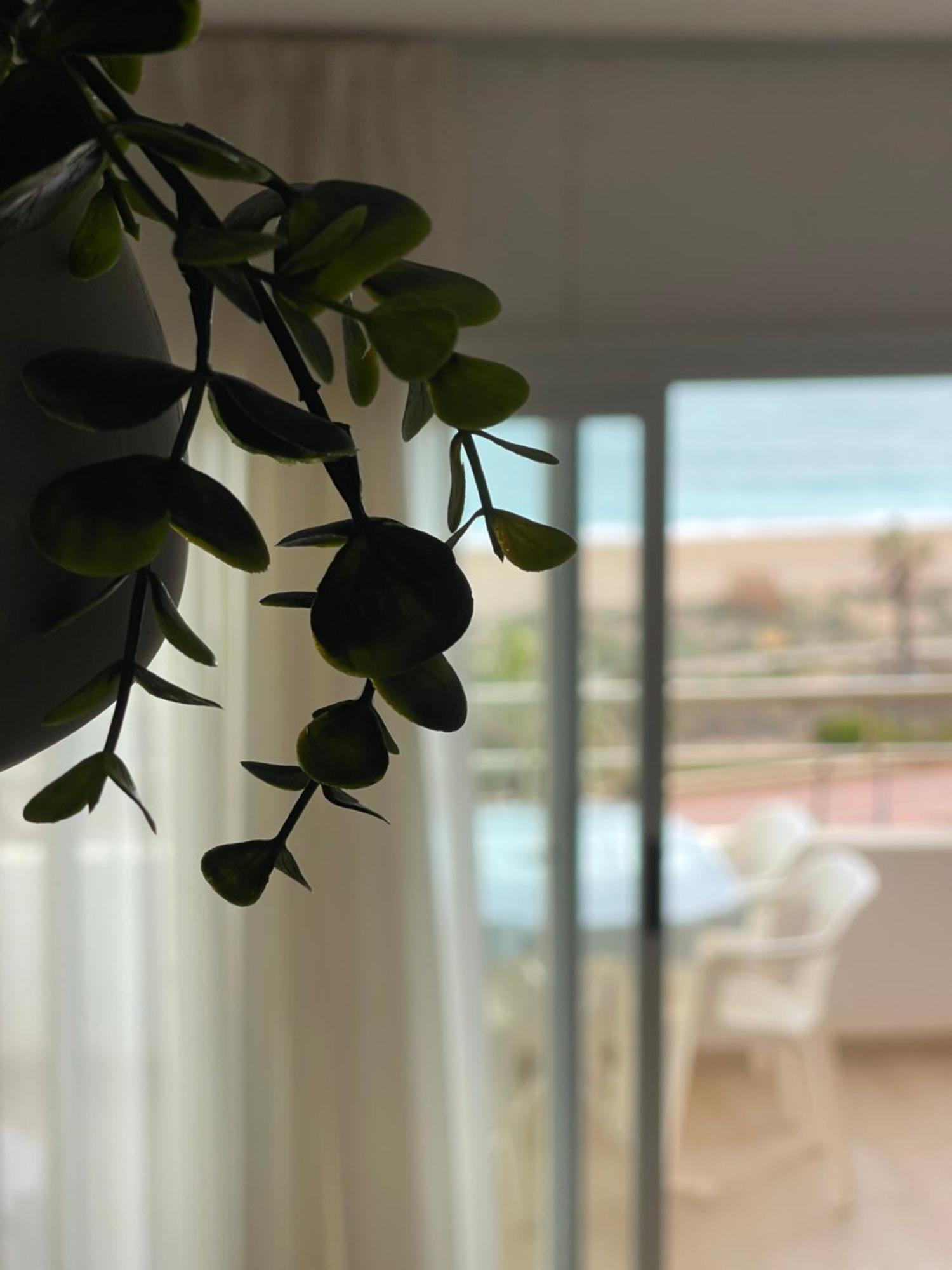 Penismar 67 Apartman Peñíscola Kültér fotó